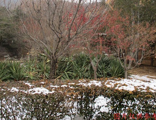 海淀区 香山路85号院1号楼1至3层1-2号（半山枫林）公寓