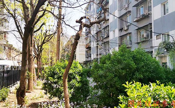 东城区 天坛南里西区19号楼5层1门501（天坛南里西区）