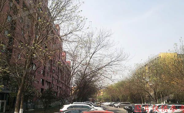 顺义区 望泉家园39号楼1层3单元102