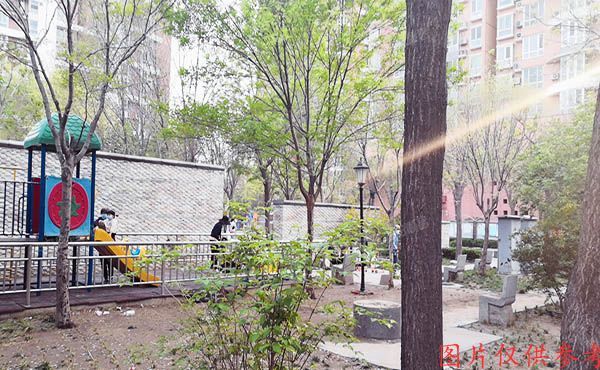 西城区 马连道路80号3号楼2层204（欧园小区）