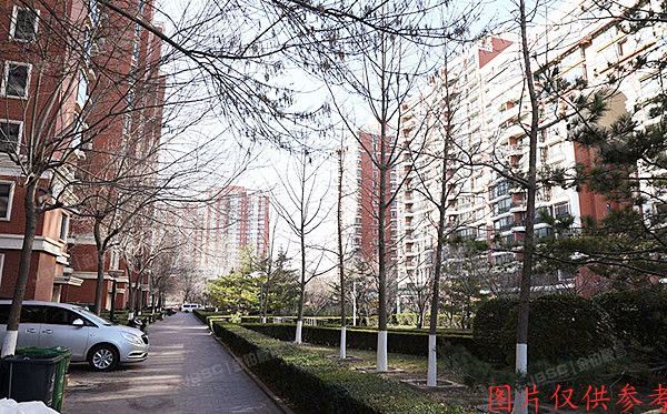 西城区 清芷园8号楼7层C座705号（清芷园）