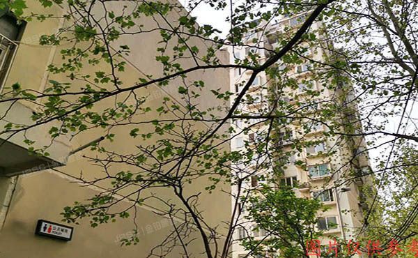 东城区 东羊管胡同1号楼2层3单元201号（东扬威街）