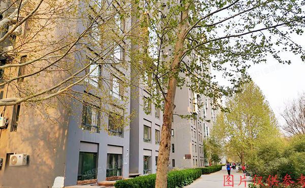 朝阳区 百子湾路32号院南10楼A座205号（苹果社区）