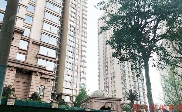 朝阳区 朝阳公园南路8号院5号楼4层501（棕榈泉）