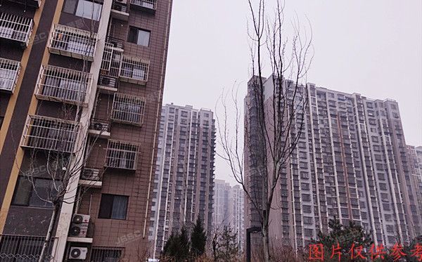 大兴区 庆丰西路1号院15号楼6层4单元601(天宫院小区)