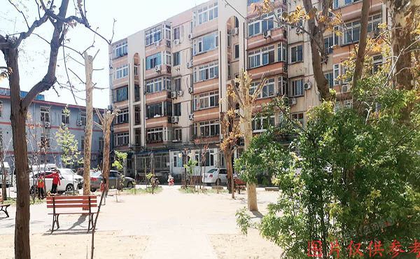 大兴区 新安里5号楼5层5单元502