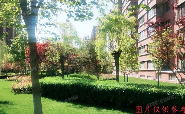 大兴区 南大红门路109号院7号楼4单元202(中南湾)