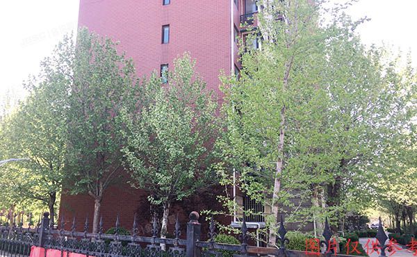 大兴区 南大红门路109号院7号楼4单元202(中南湾)