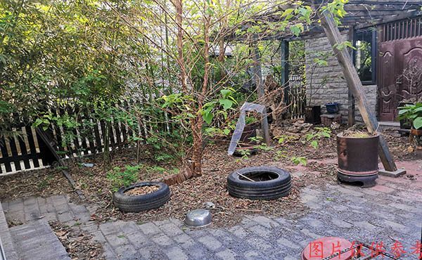 朝阳区 双桥东路9号3区130号楼629号(康城花园)别墅