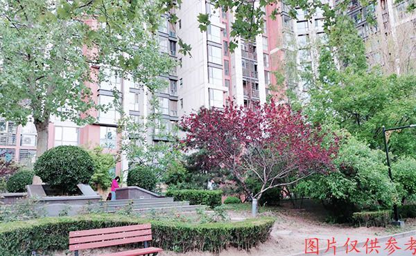 朝阳区 阜荣街8号院3号楼11层1单元1206（朝庭公寓）