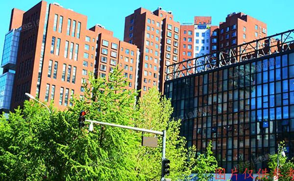 朝阳区 西大望路三号院2号楼7层M单元803（蓝堡国际公寓）