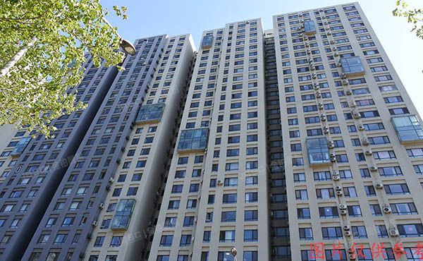 朝阳区 百子湾路32号院南10楼A座205号（苹果社区）