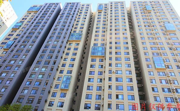 朝阳区 百子湾路32号院南10楼A座205号（苹果社区）