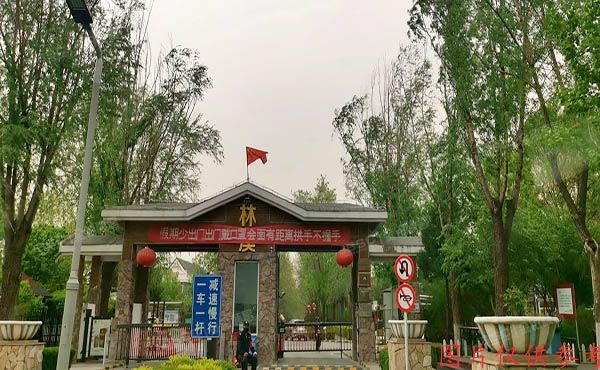 昌平区 百善镇林溪园三期八区8-2号楼-1至2层01号（顺驰林溪）别墅