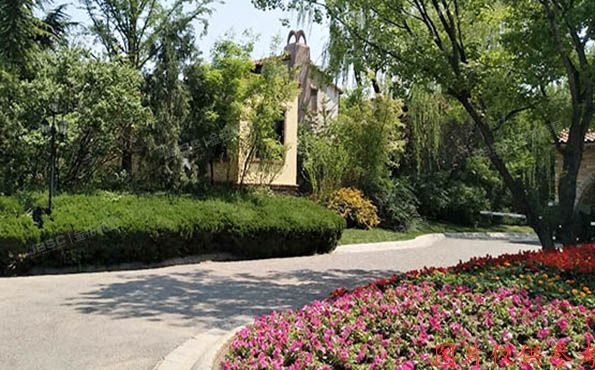 顺义区 右堤路1-259 -1至2层259（纳帕尔湾）独栋