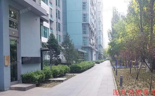 朝阳区 建国路89号10号楼12层1503室（华贸公寓）