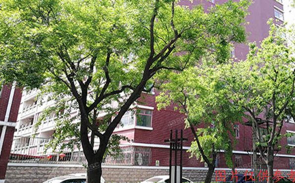 西城区 南菜园53号1号楼1单元1001室（中华家园）