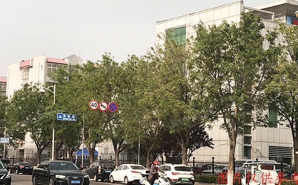 顺义区 东兴小区29号楼1层四单元101（东兴第一社区）