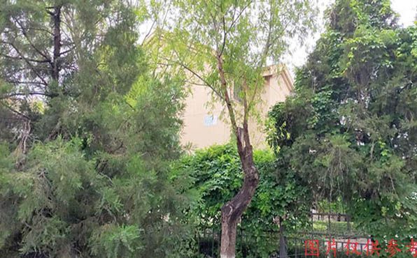 大兴区 九龙山庄南区21号楼1单元201