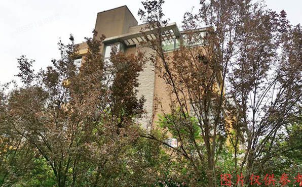 朝阳区 天溪园14号楼1至2层4单元102号