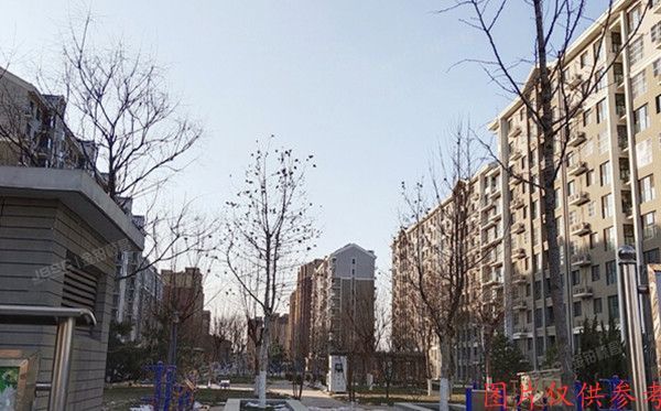 大兴区 新城嘉园小区B区16号楼3单元1001（榆垡新城嘉园）