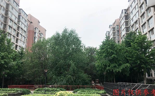 东城区 新怡家园6号楼11至12层5单元1101号