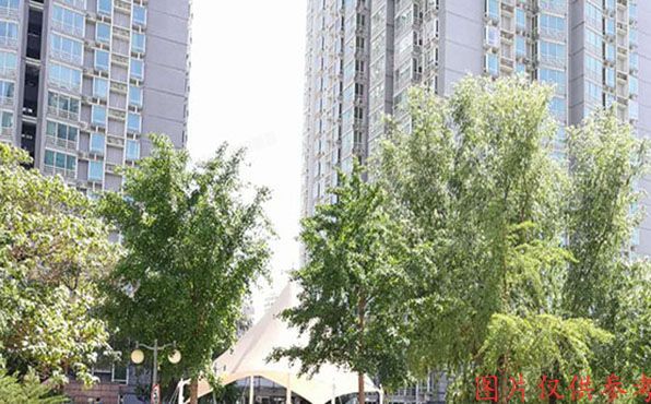 东城区 新中街18号院1号楼24层2409号（阳光都市）