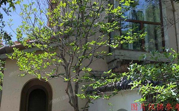 昌平区-小汤山 顺沙路68号12-79号1至2层12-79（纳帕溪谷）