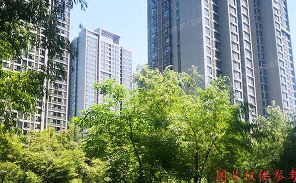 通州区 芙蓉园282号楼3层3单元303号（京贸国际城）