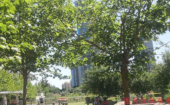 通州区 芙蓉园282号楼3层3单元303号（京贸国际城）