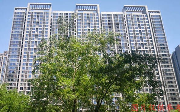 通州区 芙蓉园282号楼3层3单元303号（京贸国际城）