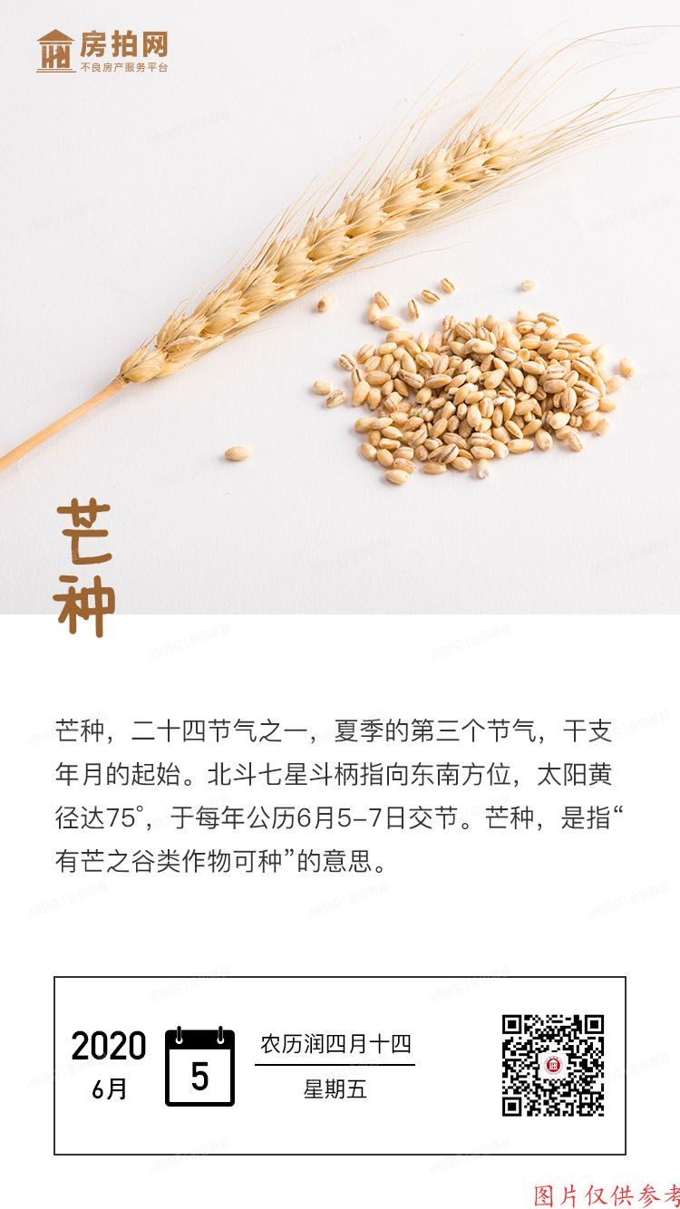 今日芒种:愿所有播种都能丰收,所有付出都有收获!