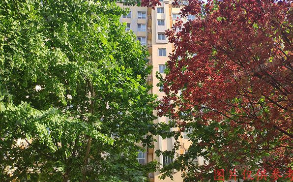 西城区 黄寺大街23号院1号楼12至13层2门1202（阳光丽景）