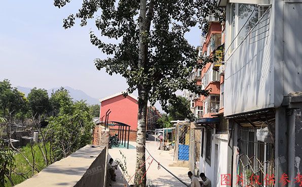 门头沟区 军庄镇杨坨矿5号楼1层2单元3号（杨坨小区）