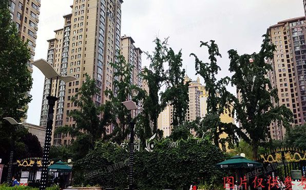 朝阳区 大屯里303号17层3单元1701号（金泉家园）