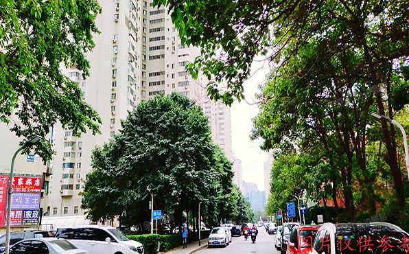 朝阳区 望京西园甲410号楼11层1101号（望京西园四区）