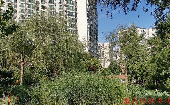 海淀区 蓝靛厂时雨园8号楼15层18C室