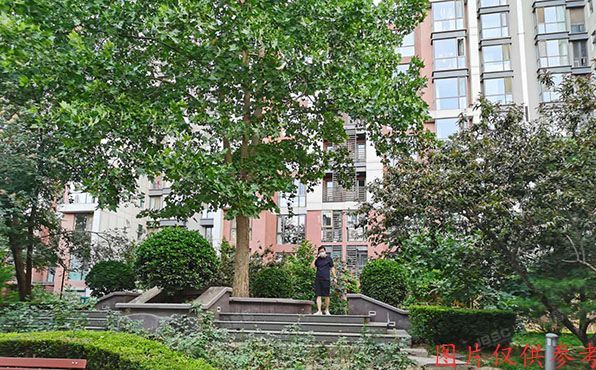 朝阳区 阜荣街8号院3号楼6层4单元701（朝庭公寓）