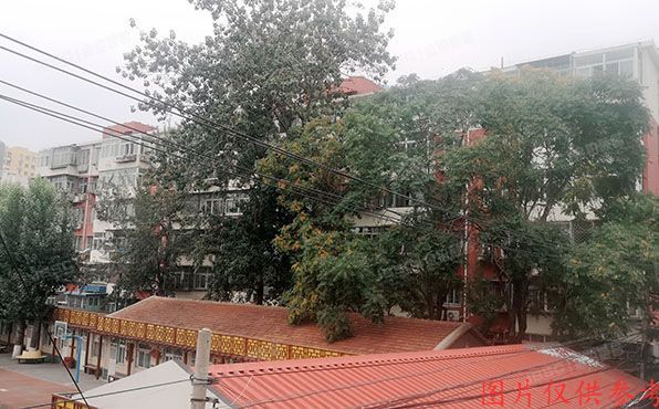 丰台区 马公庄9号楼3单元502号（马公庄社区）