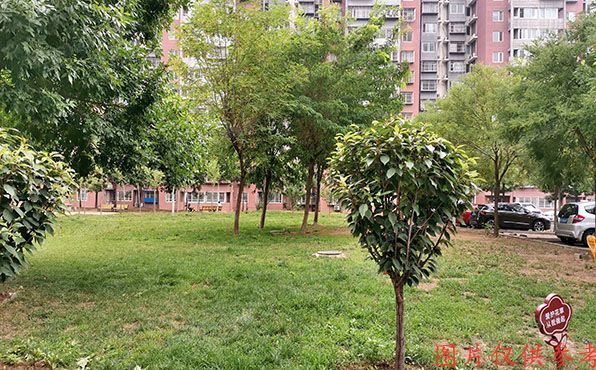 朝阳区 朝新嘉园东里六区6号楼11层5单元1103