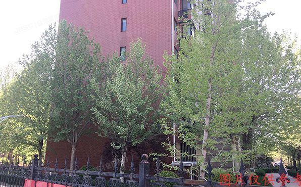 石景山区 西黄新村北里8号楼10层1008号