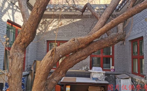 东城区 沙井胡同25号5幢1层、6幢1层、7幢1层、20幢1层