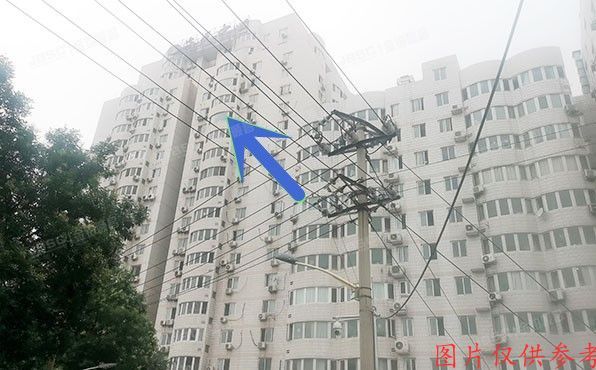 海淀区 羊坊店东路19号2号楼15层1505（海天中心）