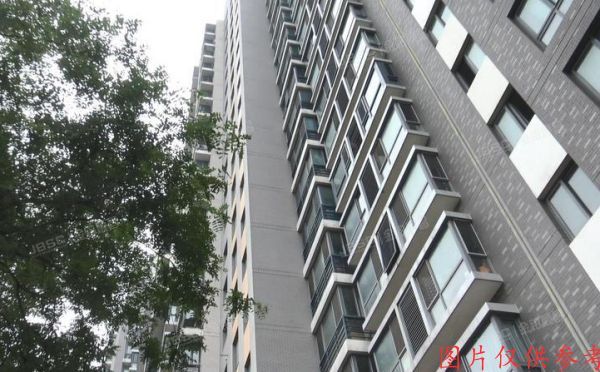 朝阳区 双花园南里二区6号楼20层4单元2003室（CBD总部公寓）