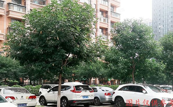 昌平区 中滩村6号院3号楼8层2单元803（合立方）