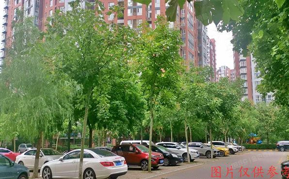 朝阳区 立清路7号院7号楼8层1单元901号（明天第一城）办公