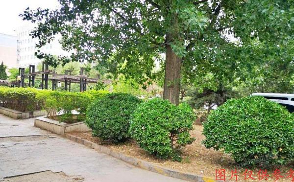 昌平区 福地家园1号楼3单元101号