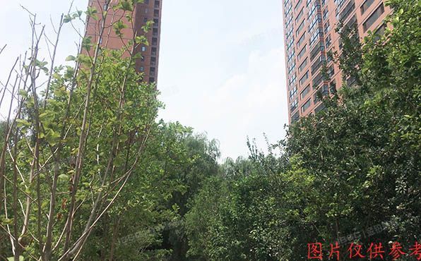 东城区 广渠家园17楼15层3单元1802号（冠城名敦道）