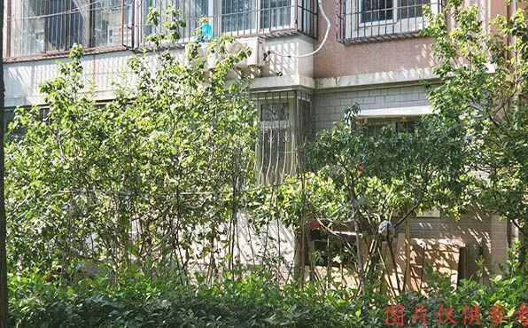 昌平区 福地家园1号楼3单元101号