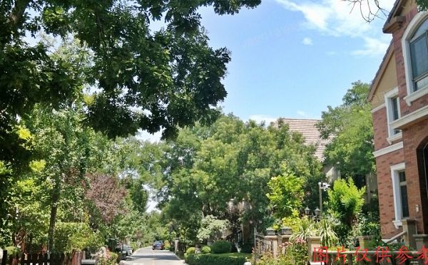 海淀区 冷泉林语山庄一区4号楼-1至2层02号（西山林语）别墅